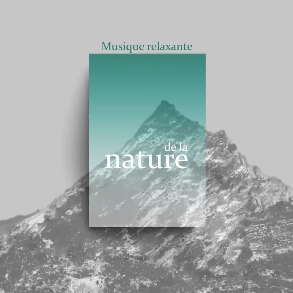 Musique relaxante de la nature