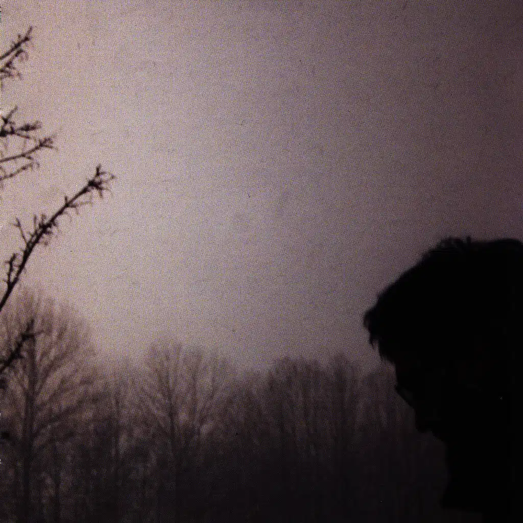 Defensa Del Artista Que No Existe