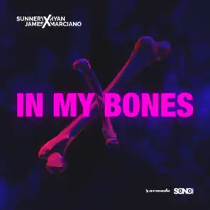 In My Bones (feat. Dan McAlister)