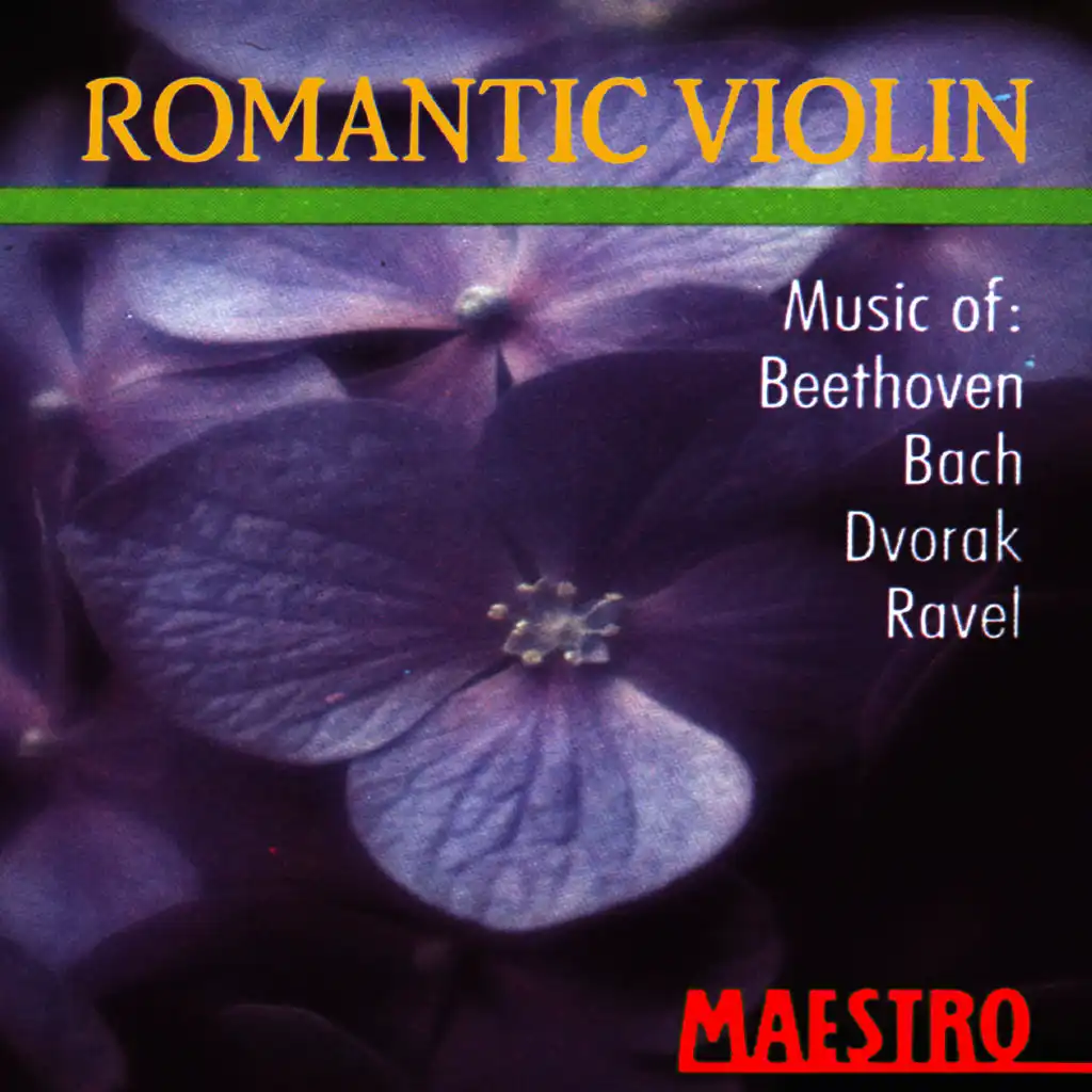 Romantic Violin: Music Of Beethoven, Bach, Dvorak, Ravel