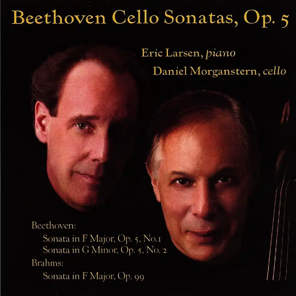 Schubert: Sonata in A minor ("Arpeggione") Allegretto