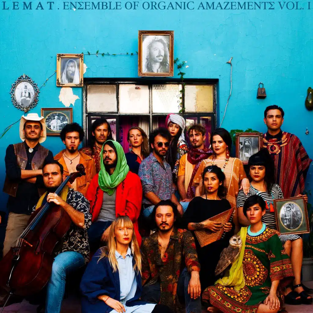 Ensemble of Organic Amazements, Vol. I