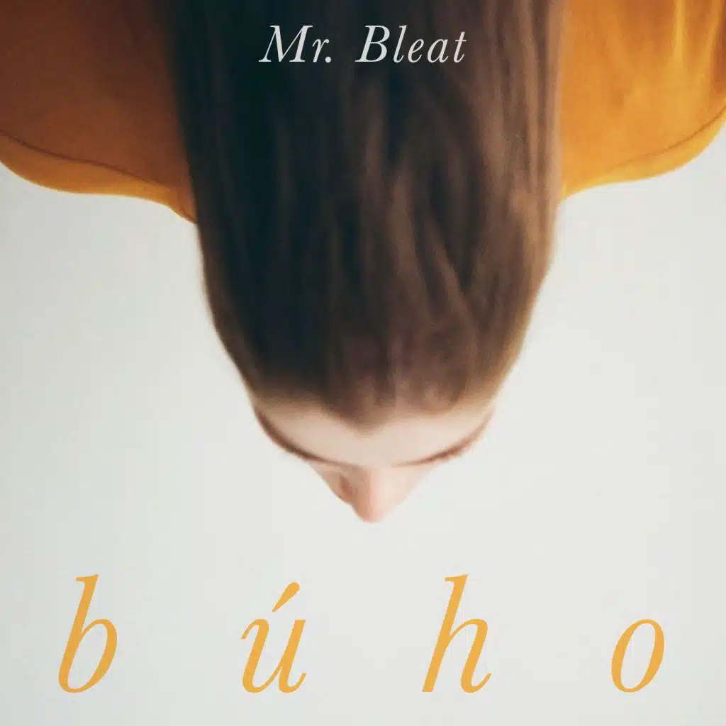 Búho