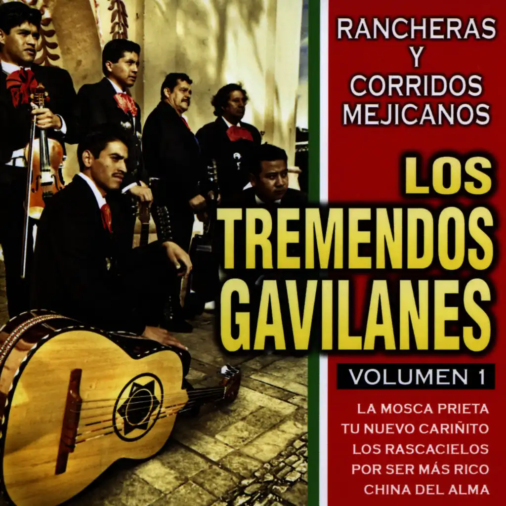 Rancheras y Corridos Mejicanos 1