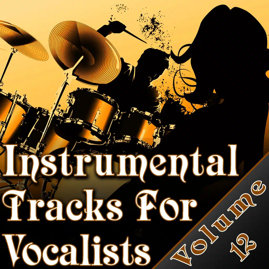 Instrumental Tracks For Vocalists Vol. 12 - Instrumental Backing Tracks For Singers Minus Vocals  