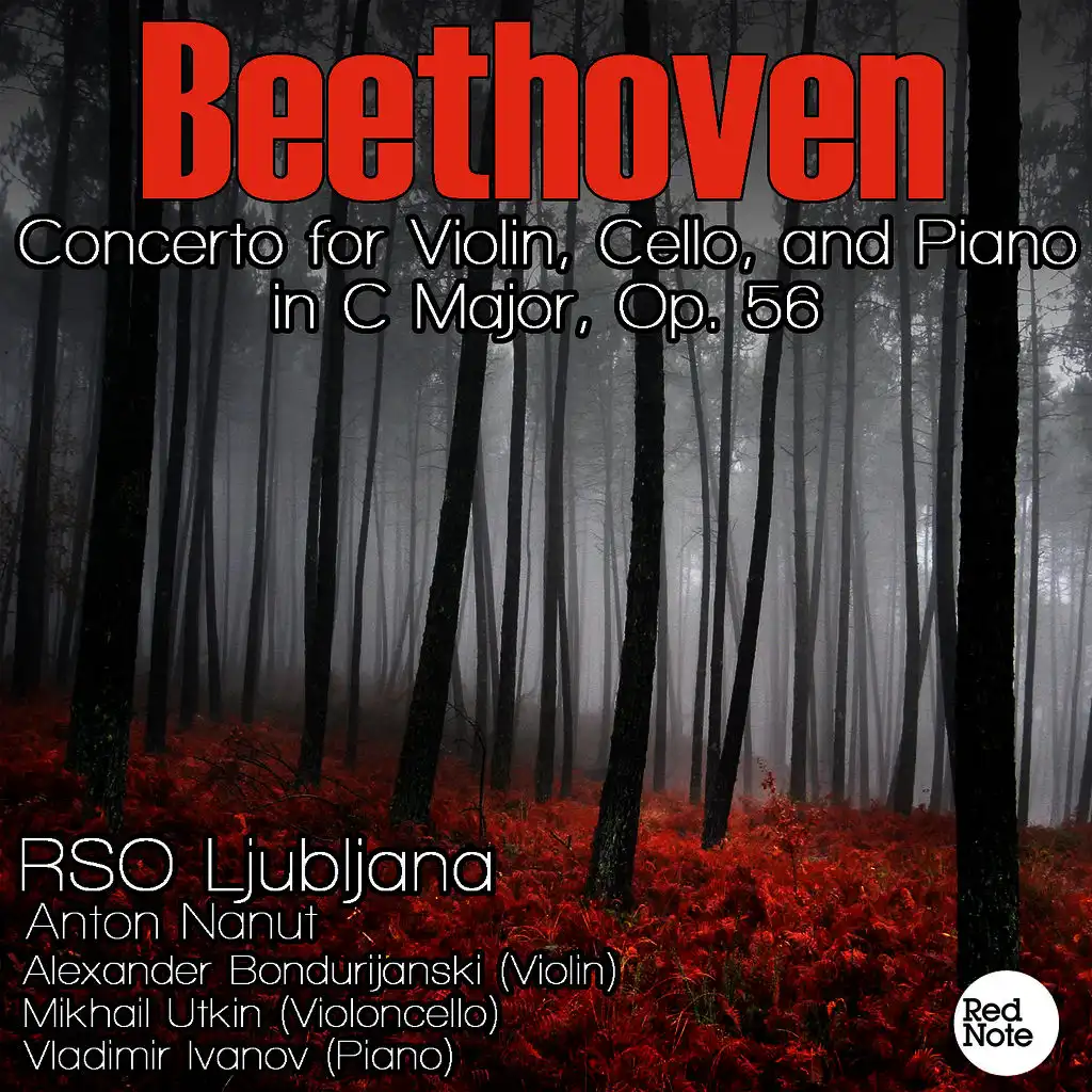 Concerto for Violin, Cello, and Piano in C Major, Op. 56: II. Largo (attacca)