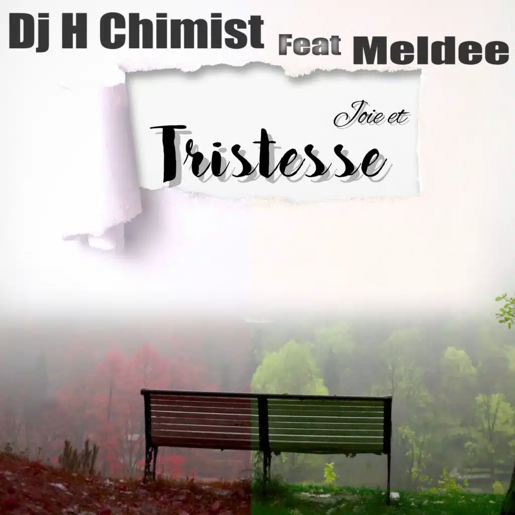 Joie et tristesse (feat. Meldee)