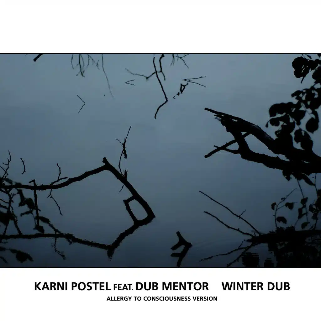 Winter Dub (Allergy To Consciousness Version)