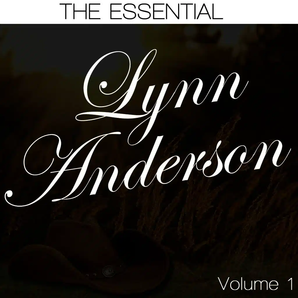 Foggy Mountain Breakdown (Instrumental)