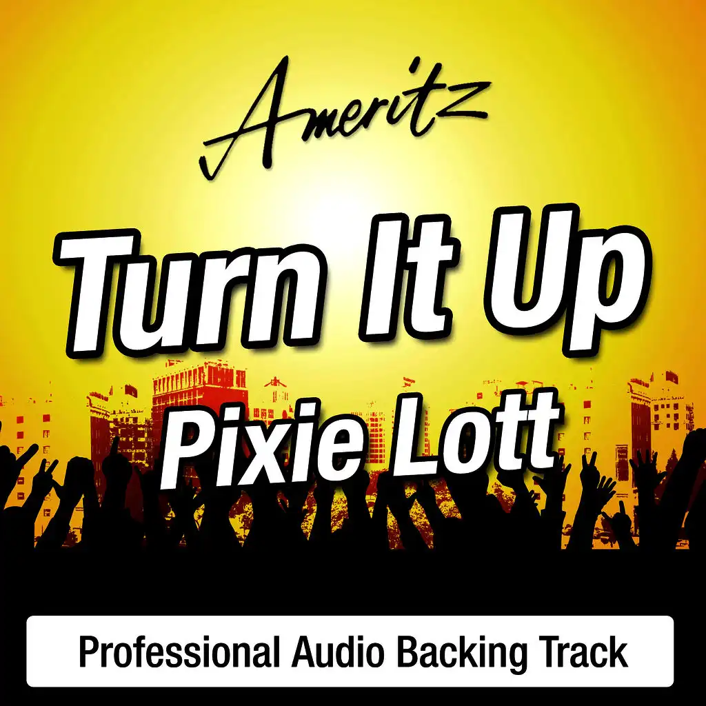 Turn It Up (In The Style Of Pixie Lott)