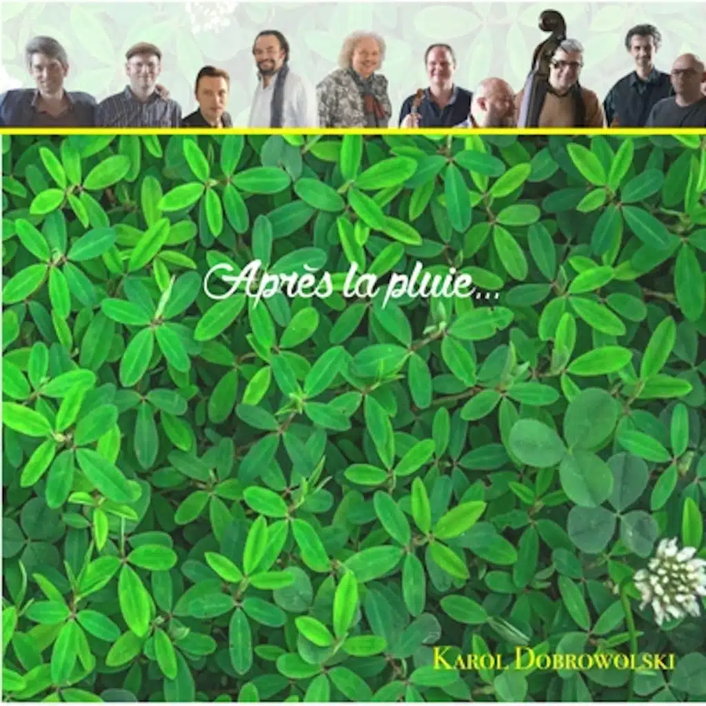 Après la pluie