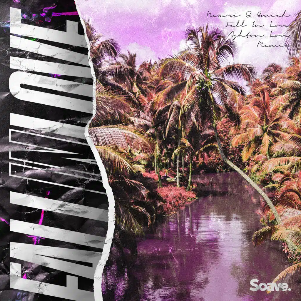 Fall in Love (Remix)