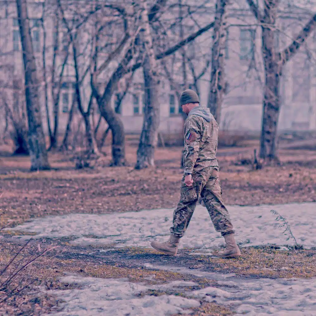 2083 (a Declaration of European Independence)