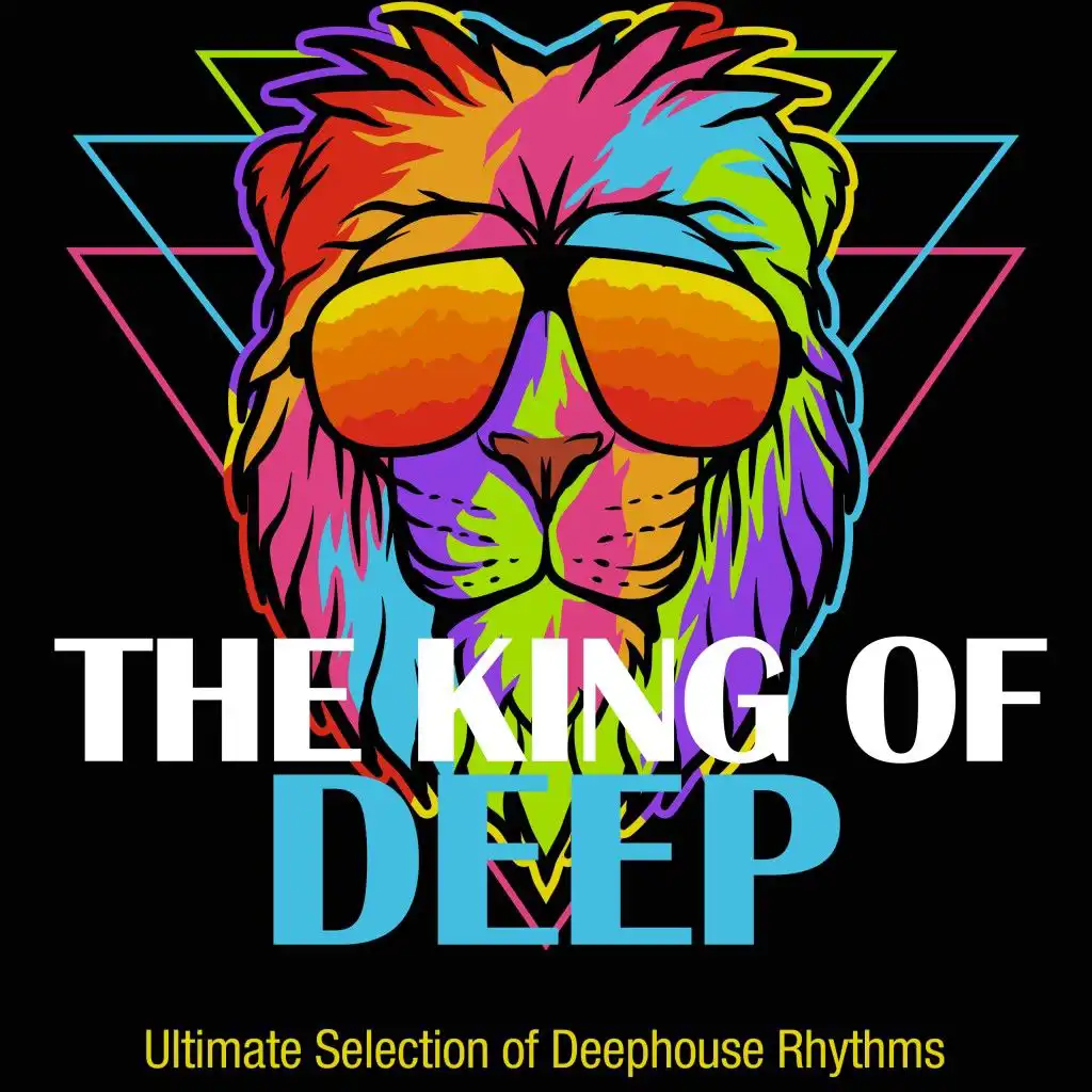 The Kings of Deep (Ultimate Selection of Deephouse Rhythms)