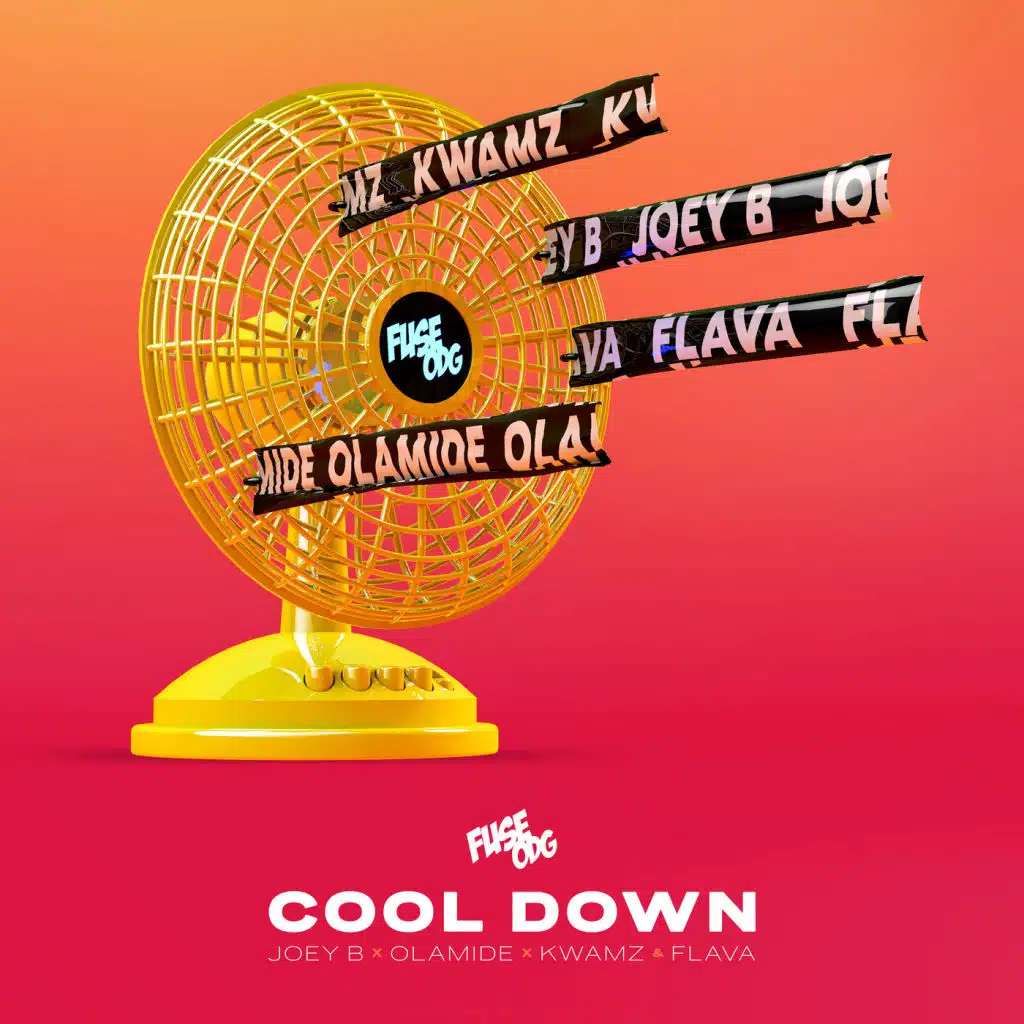 Cool Down (feat. Kwamz & Flava, Olamide & Joey B)