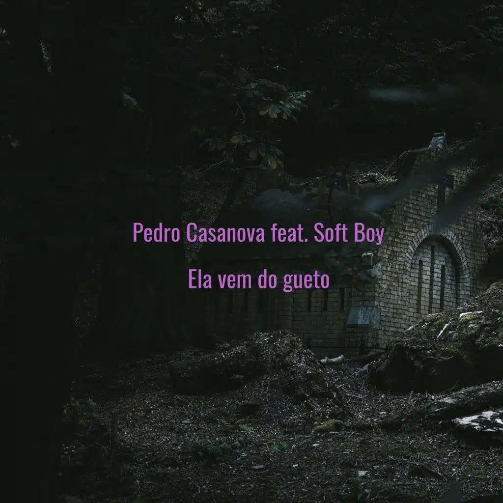 Ela Vem do Gueto (feat. Soft Boy)