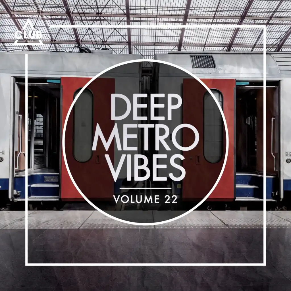 Deep Metro Vibes, Vol. 22