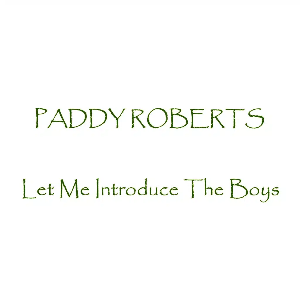 Let Me Introduce The Boys