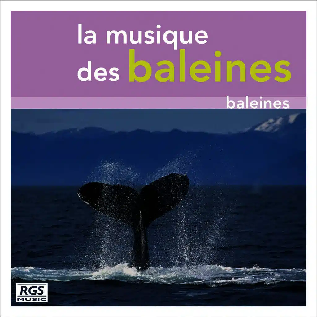La Musique Des Baleines