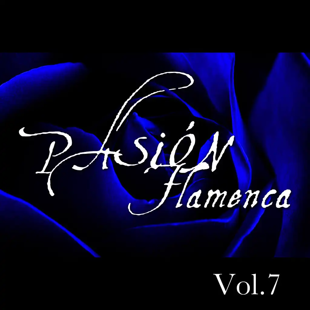 Pasión Flamenca Vol.7