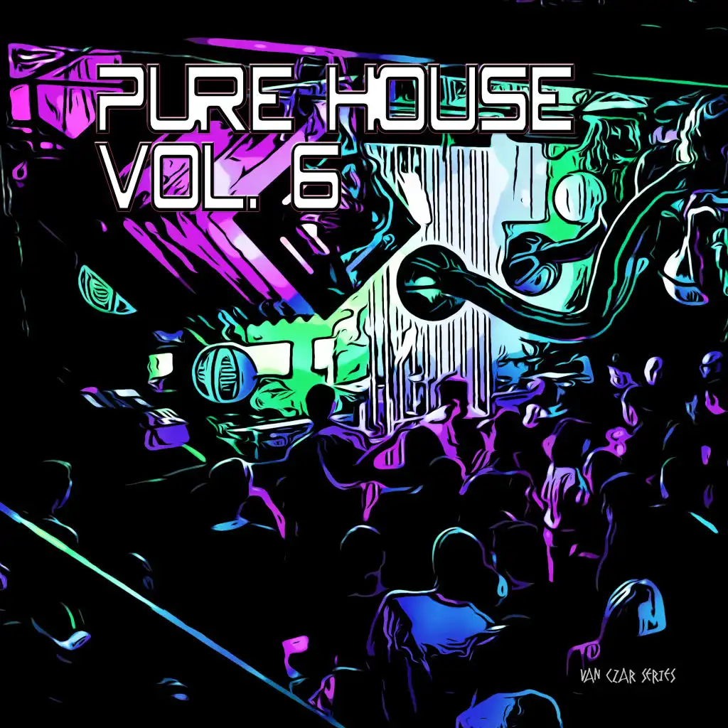 Pure House, Vol. 6