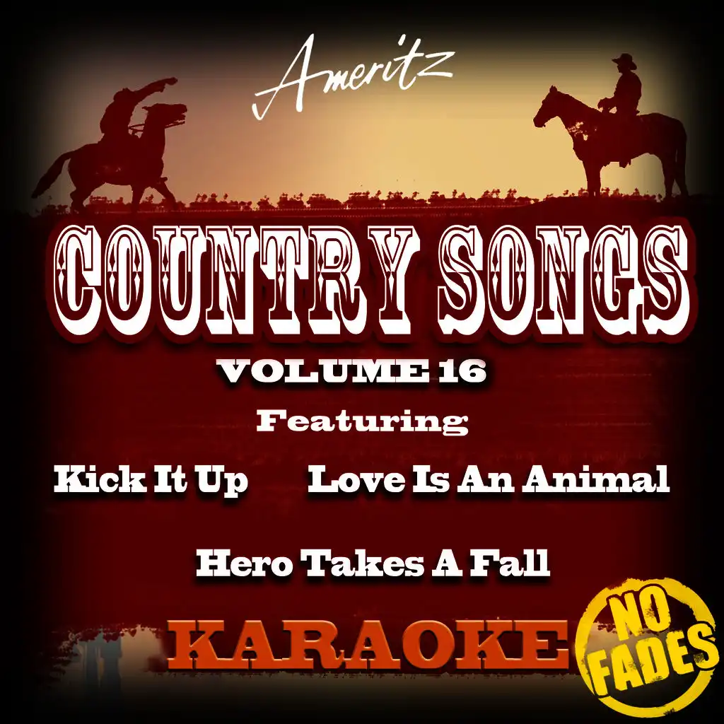 Karaoke - Country Songs Vol. 16