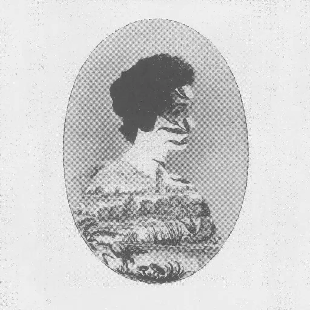 Untitled (Selected Organ Works 4)