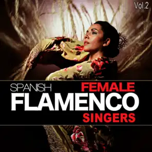 Various Flamenco Singer 