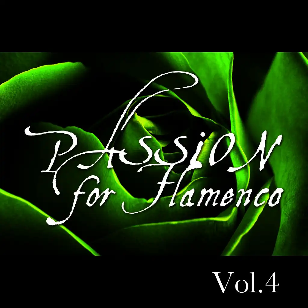 Passion for Flamenco Vol. 4