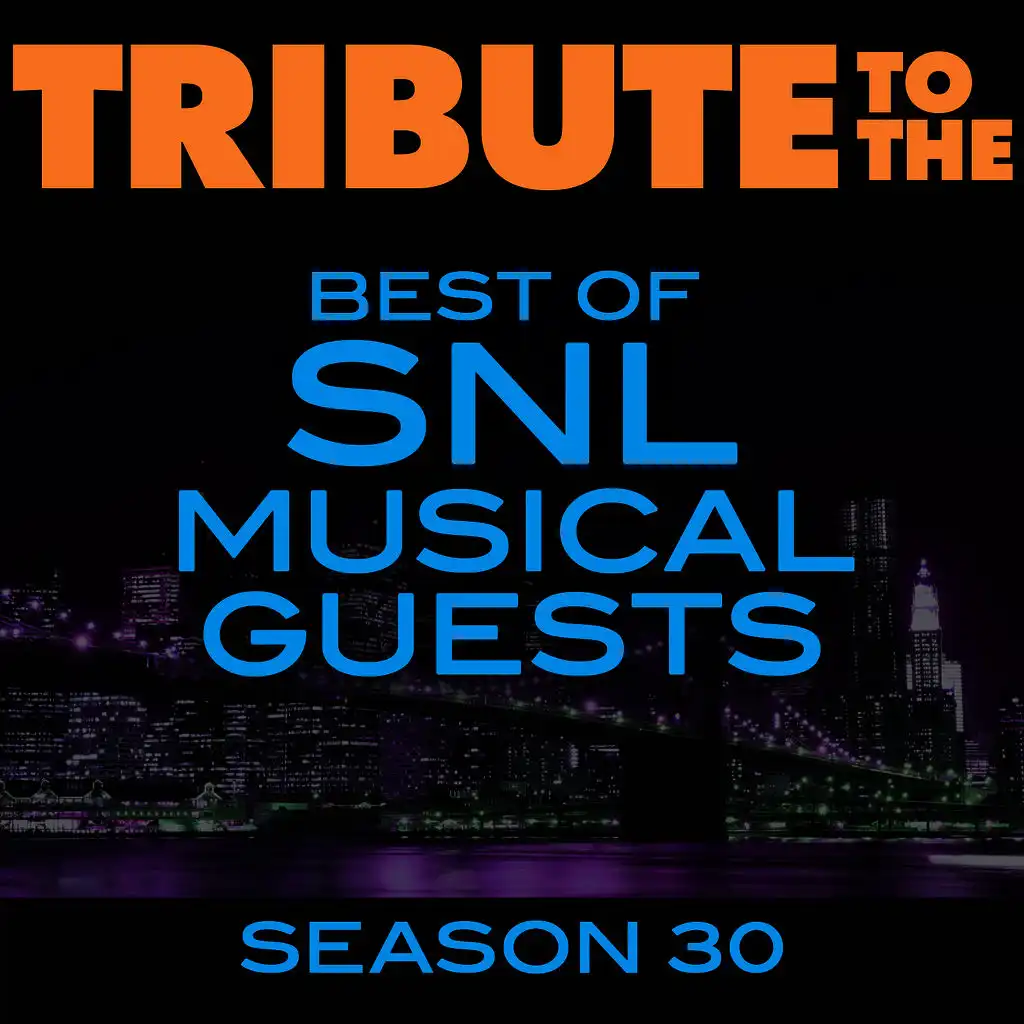 Tribute to the Best of SNL Musical Guests Season 30