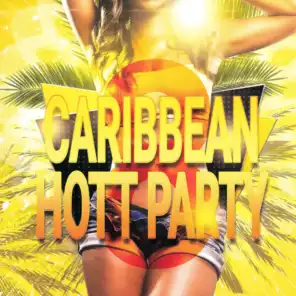 Caribbean Hott Party, Vol. 8