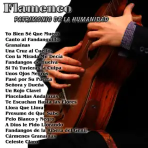 Flamenco: Patrimonio de la Humanidad