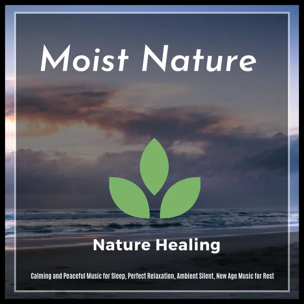 Moist Nature - Calming And Peaceful Music For Sleep, Perfect Relaxation, Ambient Silent, New Age Music For Rest