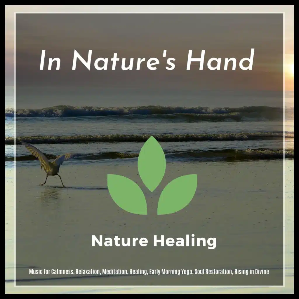 In Nature's Hand (Music For Calmness, Relaxation, Meditation, Healing, Early Morning Yoga, Soul Restoration, Rising In Divine)