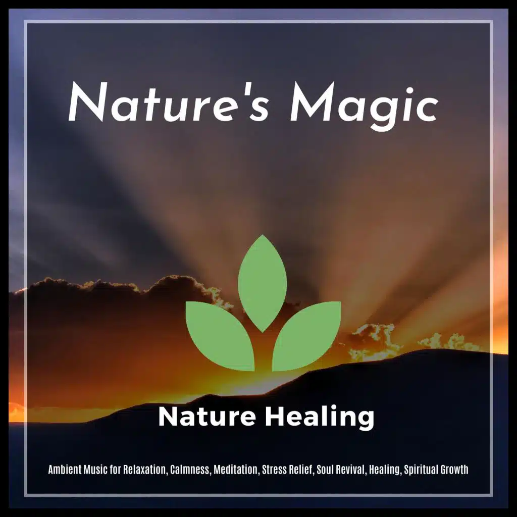 Serenity Calls, The Inner Chord, Spiritual Sound Clubb, Yogsutra Relaxation Co, Mystical Guide, Ambient 11, Siddhi Mantra, Sanct Devotional Club, Moist Soul