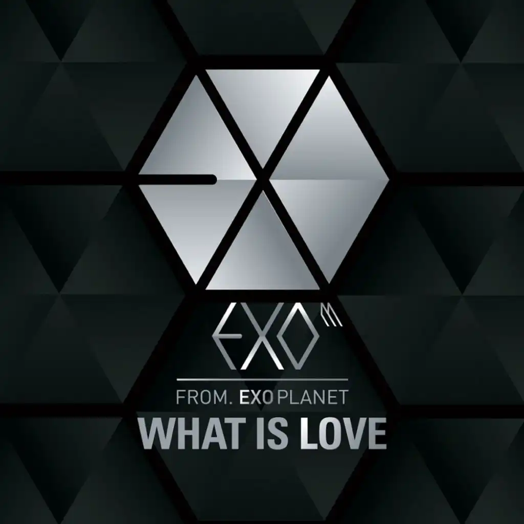 What Is Love (Chinese Version)