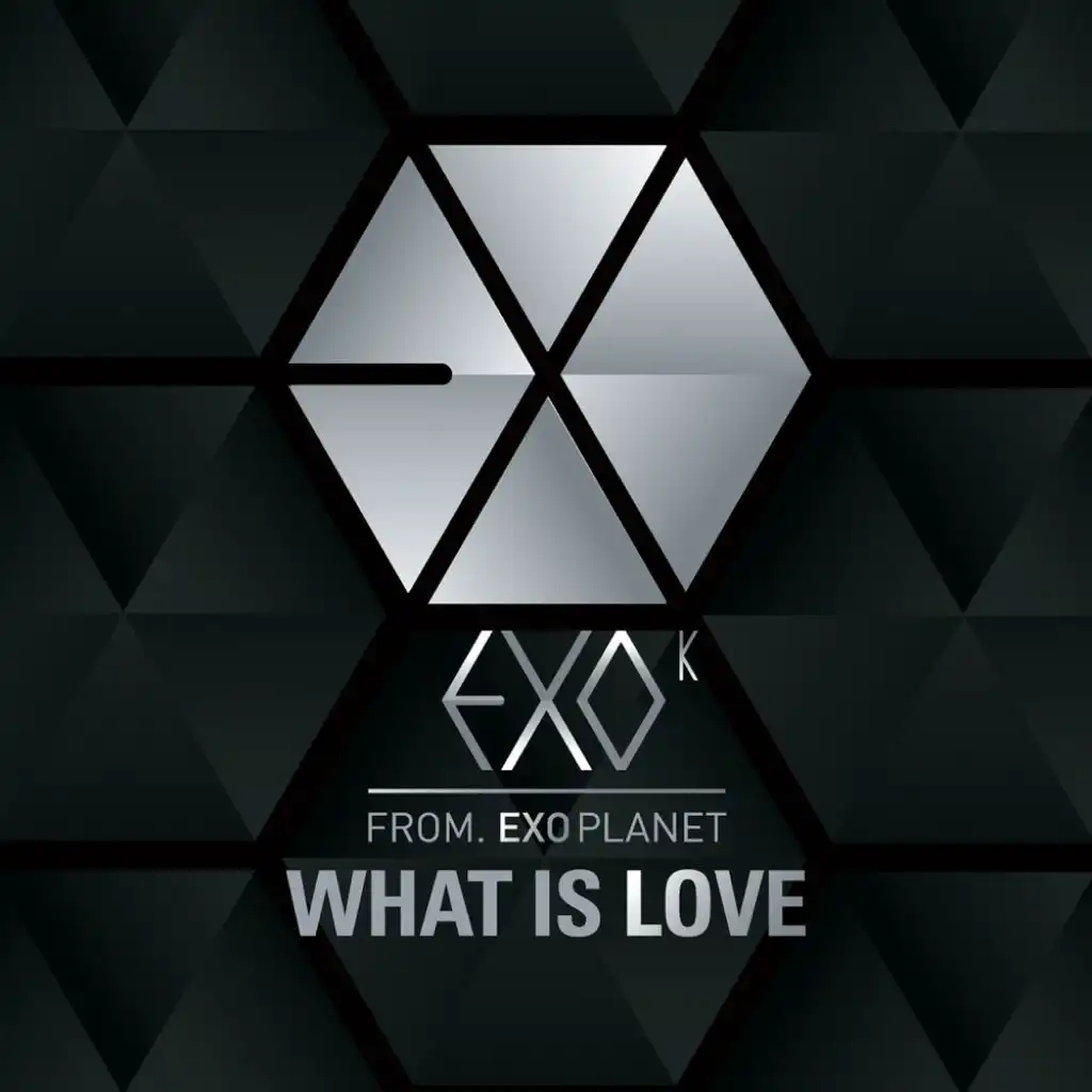 What Is Love (Korean Version)