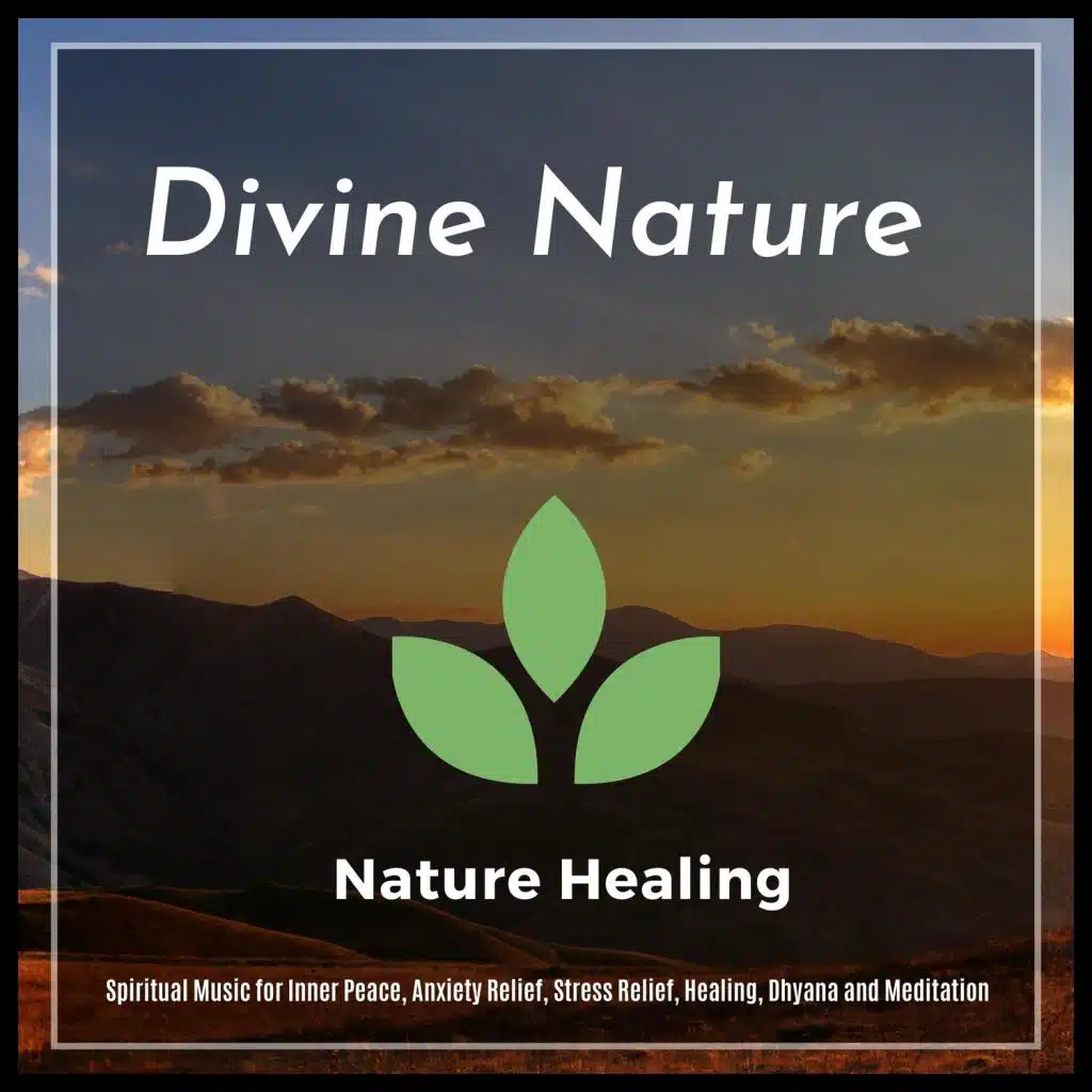 Ambient 11, Serenity Calls, Mystical Guide, Yogsutra Relaxation Co, The Inner Chord, Liquid Ambiance