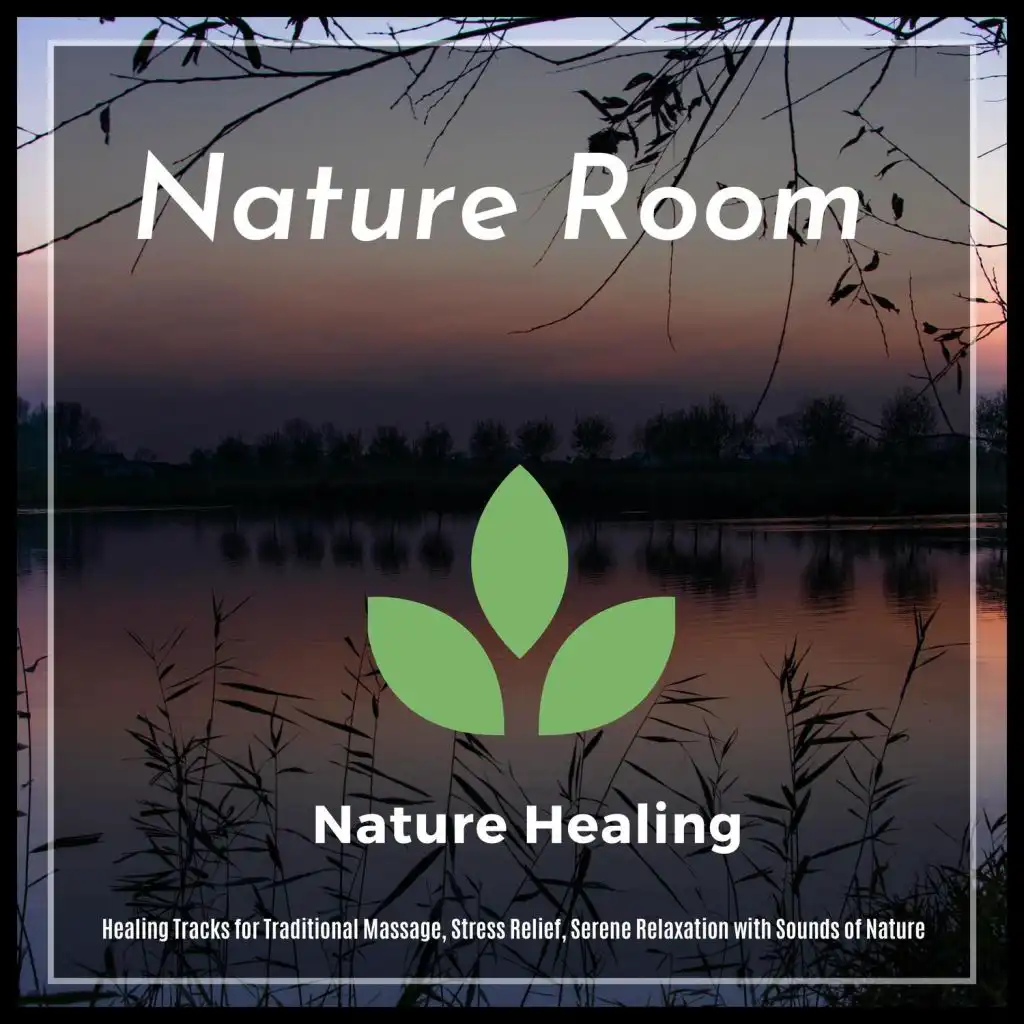 Healed Terra, Yogsutra Relaxation Co, Ambient 11, Serenity Calls, Liquid Ambiance, Sapta Chakras, Mystical Guide, Sanct Devotional Club