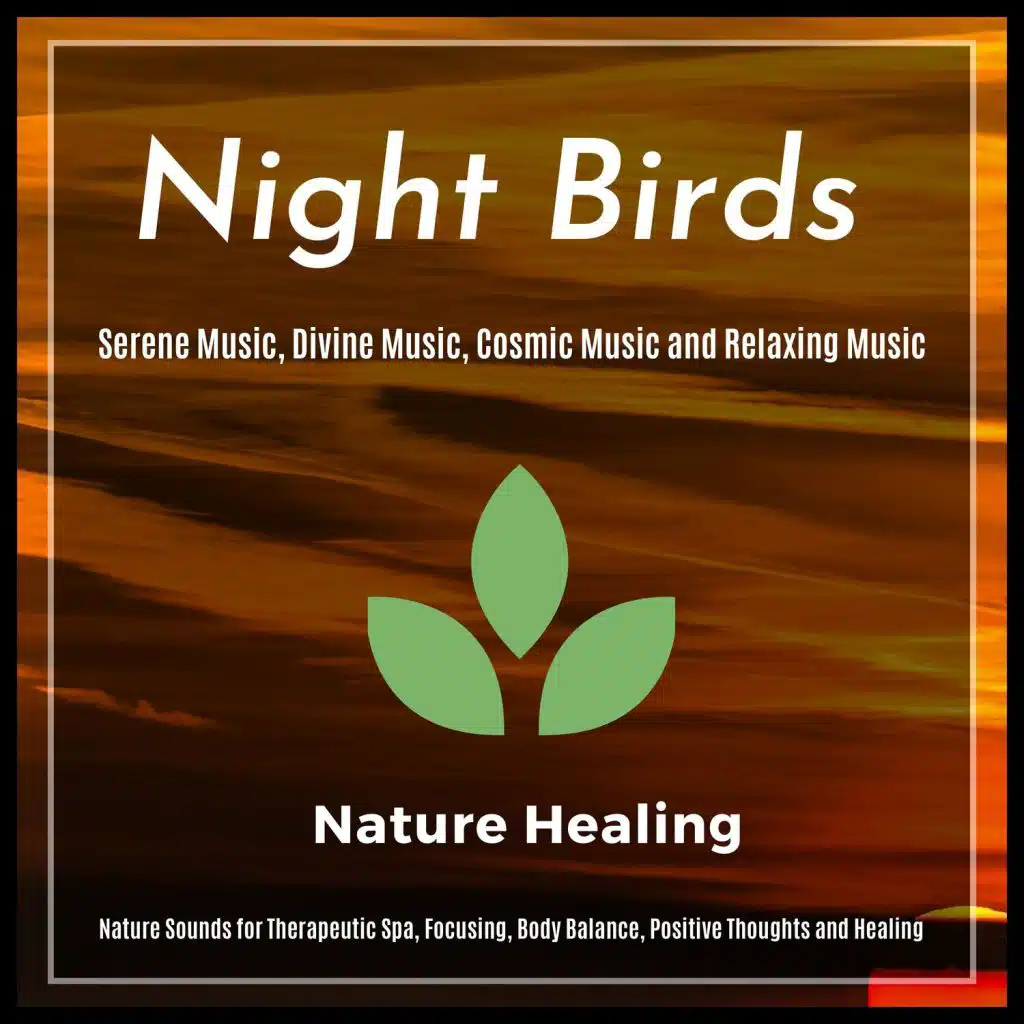 Night Birds - Nature Sounds For Therapeutic Spa, Focusing, Body Balance, Positive Thoughts And Healing (Serene Music, Divine Music, Cosmic Music And Relaxing Music)