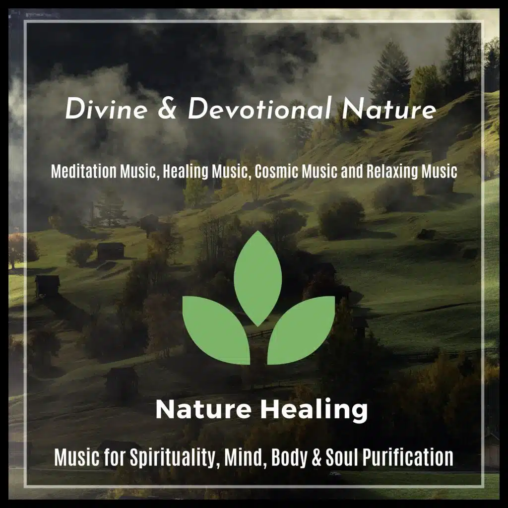 Liquid Ambiance, Serenity Calls, Healed Terra, Yogsutra Relaxation Co, Sapta Chakras, Mystical Guide, Ambient 11, Trinity Meditationn Club, Sanct Devotional Club