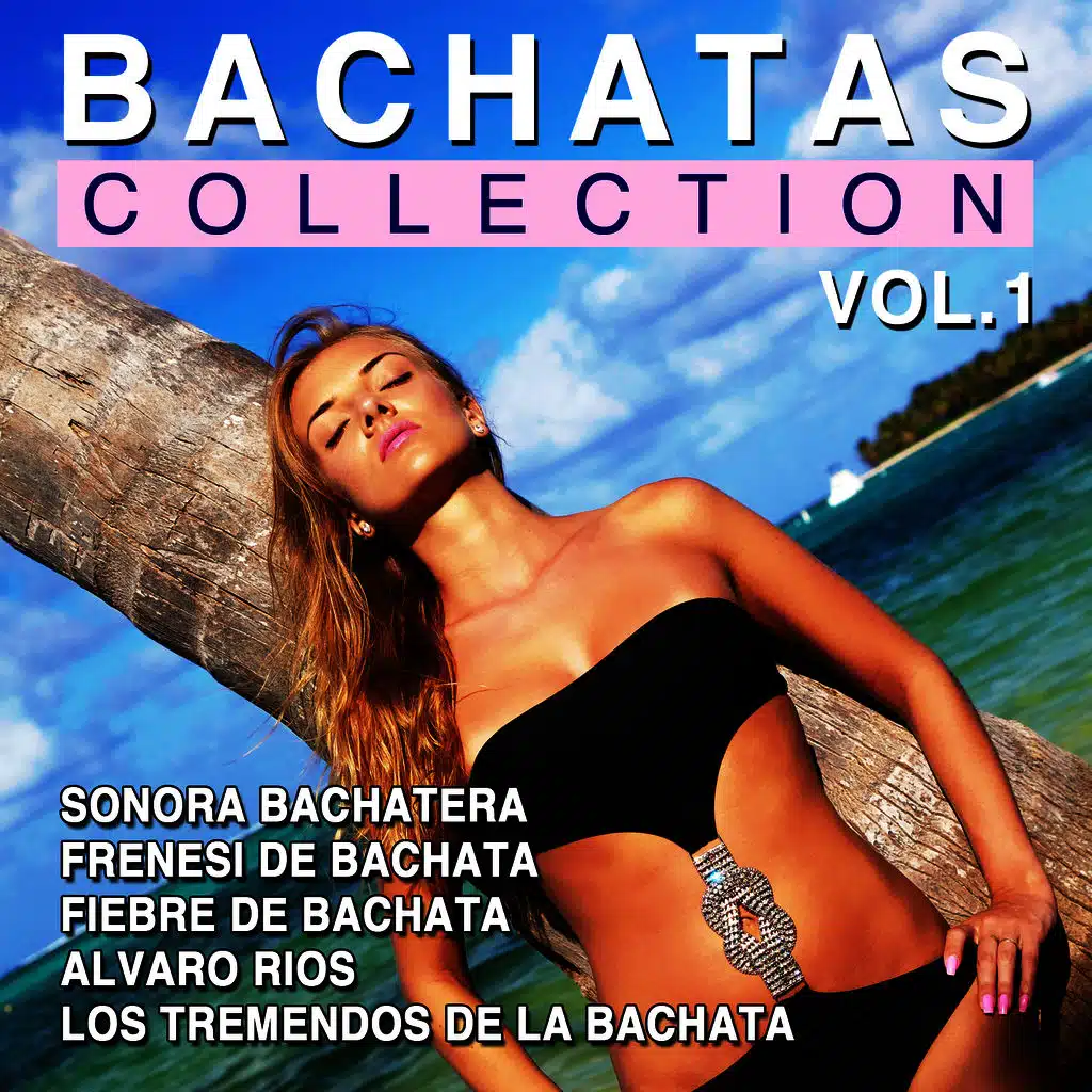 Bachatas Collection Vol. 1
