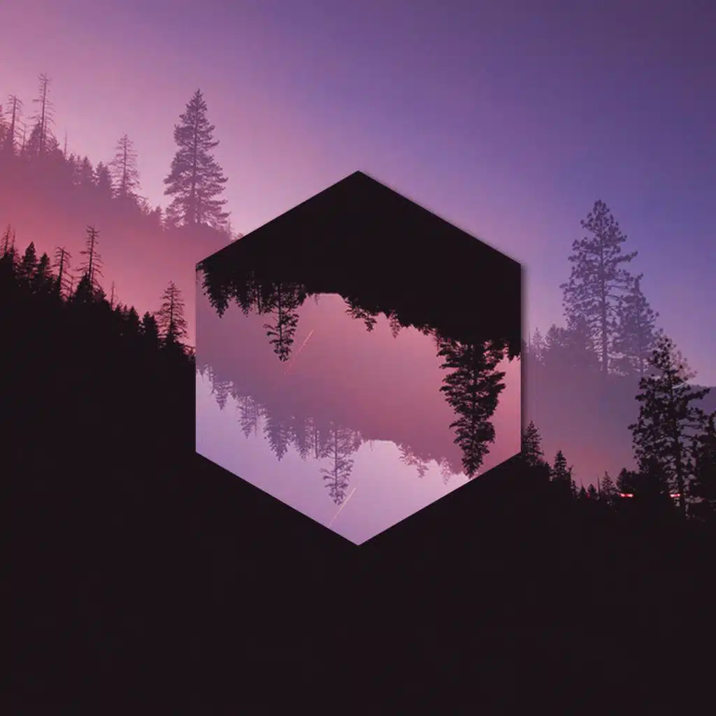 You Shouldn't Let Poets Lie to You