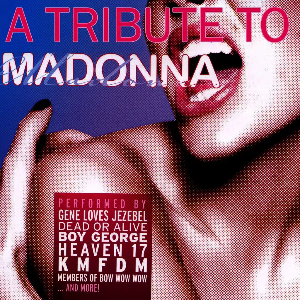 A Tribute To Madonna