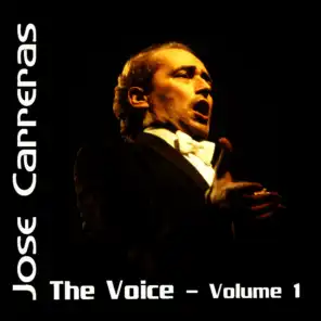 The Voice Volume 1