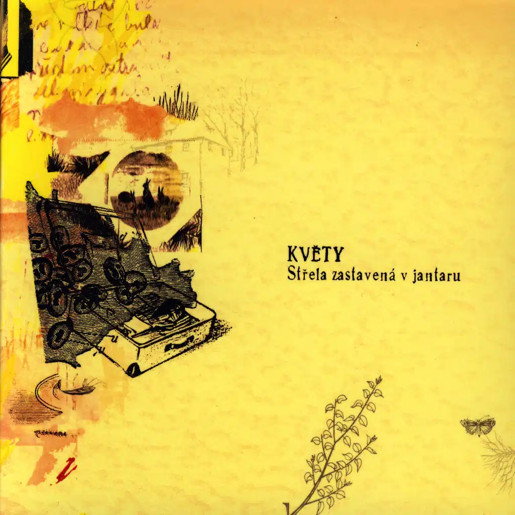 Střela zastavená v jantaru