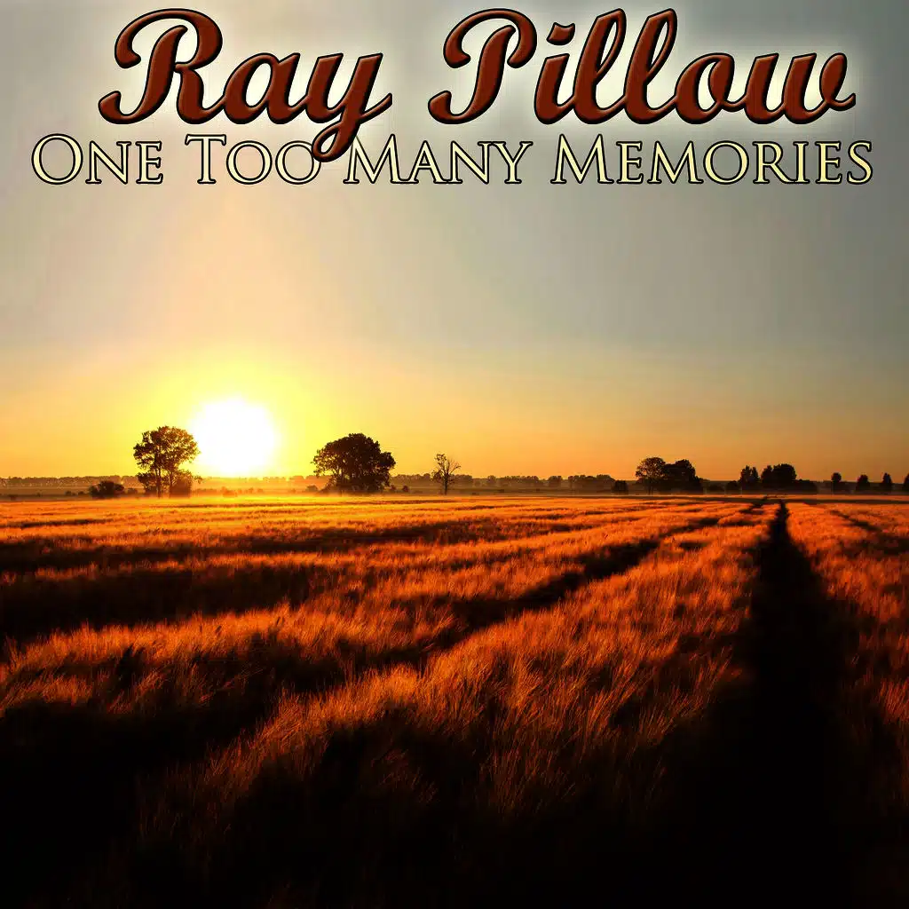 One Too Many Memories