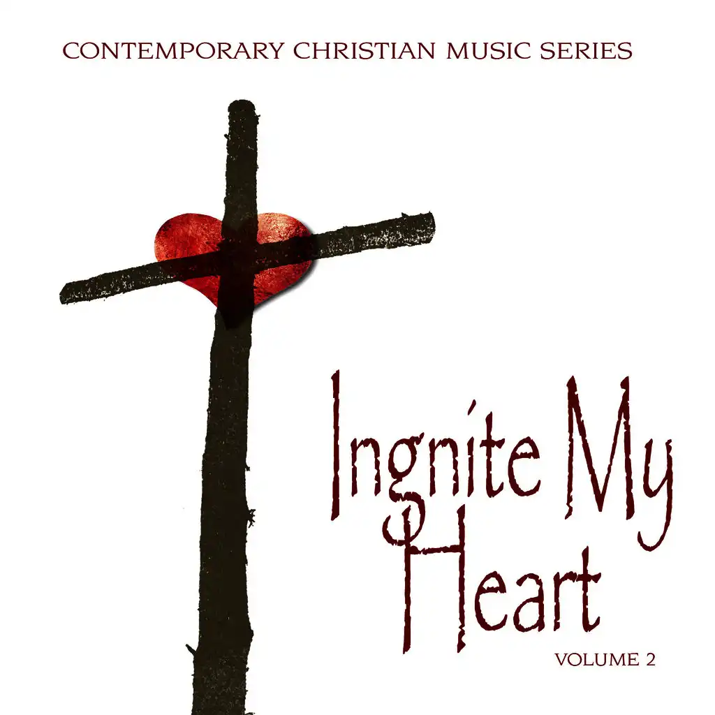 Contemporary Christian Music Series: Ignite My Heart, Vol. 2