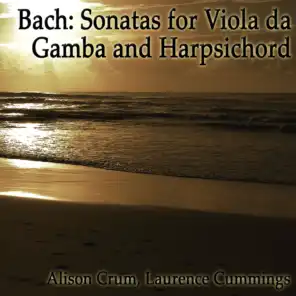 Sonata in G major, BWV 1027: Adagio