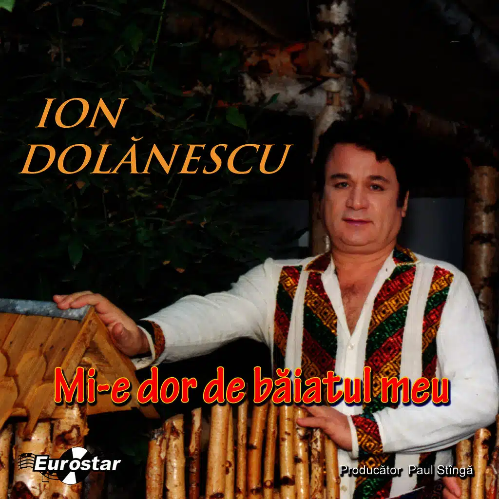 Mi-e Dor De Baiatul Meu (I Miss My Boy)